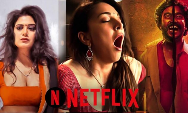 Most Popular Netflix Series In Hindi